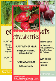 free printable companion planting bookmarks