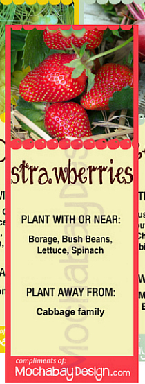 free printable Vegetable Companion Planting Bookmarks